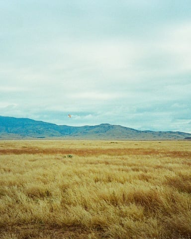 West Texas desert landscape near Marfa